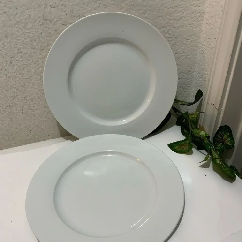 Everyday White Dinner Plate 11" Porcelain EUC set of 2 G5